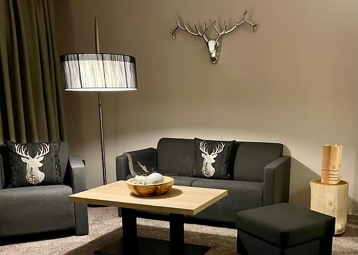 ホテル Naturboutique Rauszeit ヴィリンゲン